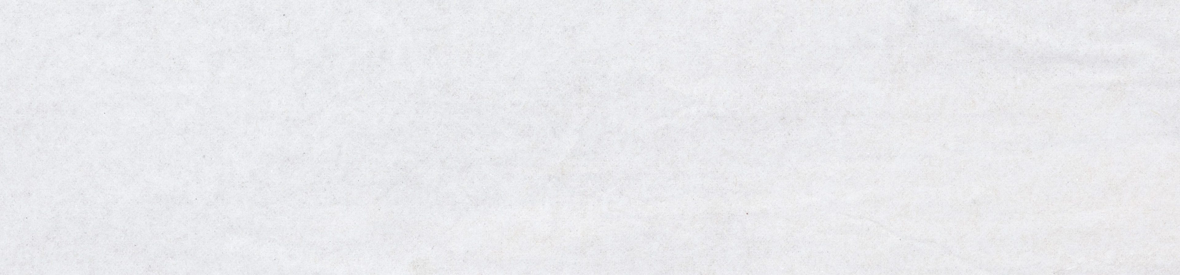 Light grey textured background.