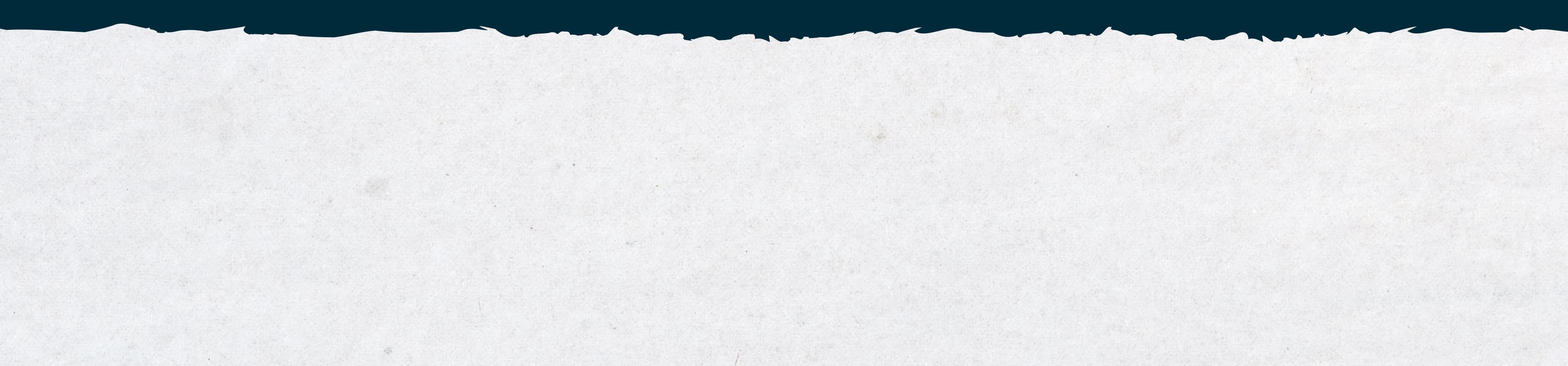 Light grey texture background. 