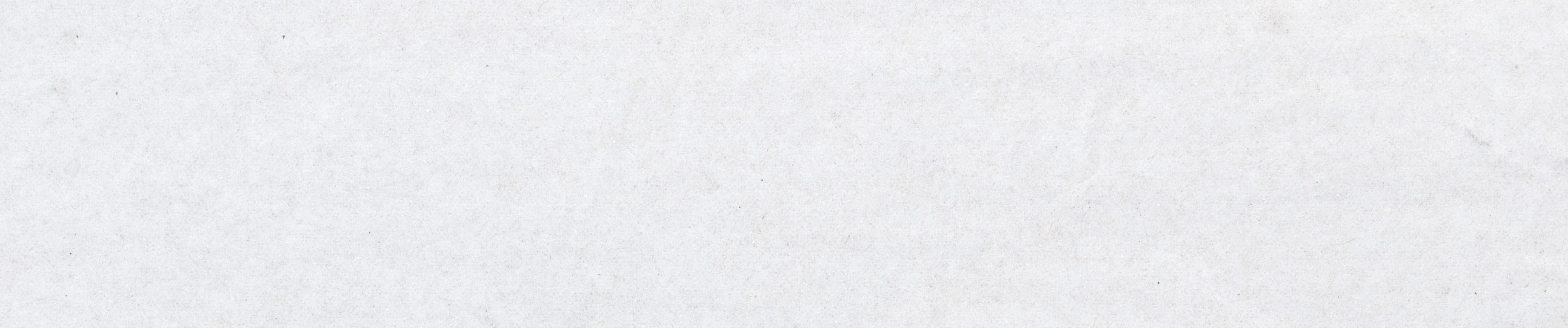 Light grey textured background.